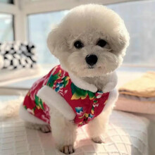 Cat Recovery Suit Soft Breathable Cotton Pet Surgery Recovery Clothes for Cats and Kittens Red M