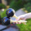 Percussion Maracas with Safe Paint Coating Fun Party Noise Makers 12