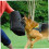 Dog Bite Training Sleeve TearResistant Fabric with Hanging Loop for Professional Protection Training 5