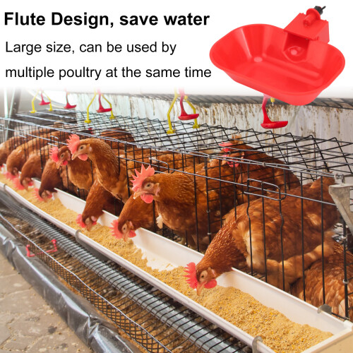 Anti Leak Watering System Advanced Drinking Cup For Poultry With Thick Wall Structure And Effortless Setup 2