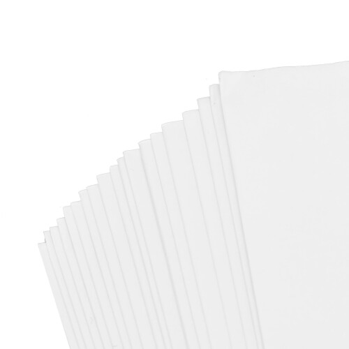 12" Vinyl Record Outer Sleeves - 20-Pack Collection Protection 2