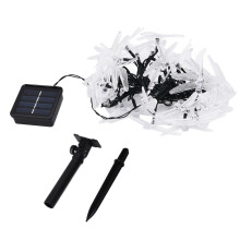 Multicolor LED Fairy Lighting, Dragonfly Solar String Lights for Patio Garden Decor, Waterproof Outdoor 8 Modes Adjustable Auto-Charging Solar