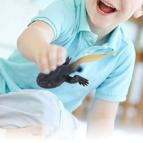 Ζωγραφική με Ζώα Εκπαιδευτικό Σετ Μοντέλων Κύκλου Ζωής Βάτραχου Μινιατούρα 2