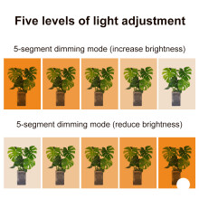 LED Plant Grow Light with Timer Indoor Full Spectrum Greenhouse Bar