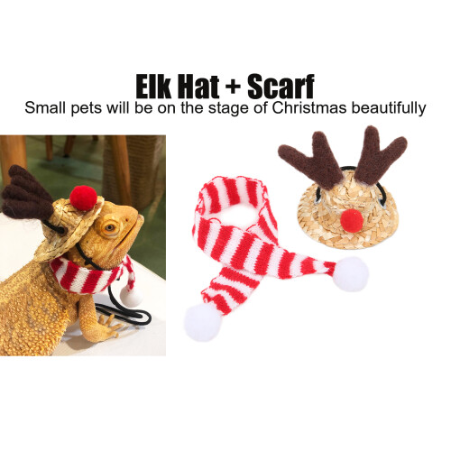 Bartleguane Santa-Hut & Schal Set, Reptil-Weihnachtskostüm 2