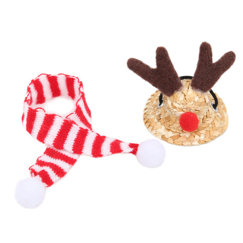 Bartleguane Santa-Hut & Schal Set, Reptil-Weihnachtskostüm 1