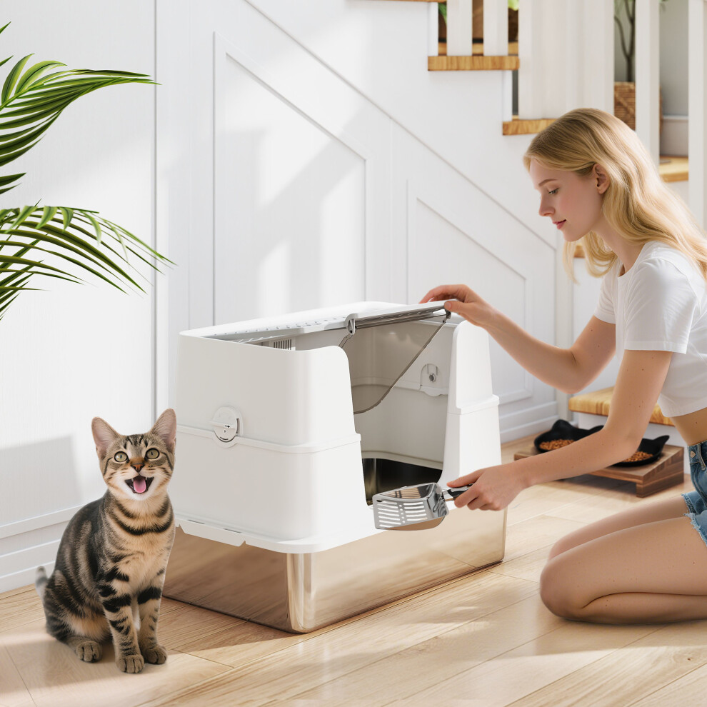 Pawhut Stainless Steel, Xl Cat Litter Tray, Dual Entry, Light/Grey