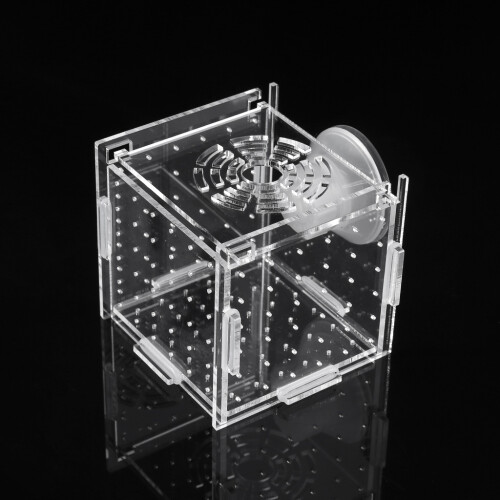 Fish Breeding Box Aquarium Small Incubator with Suction-White M