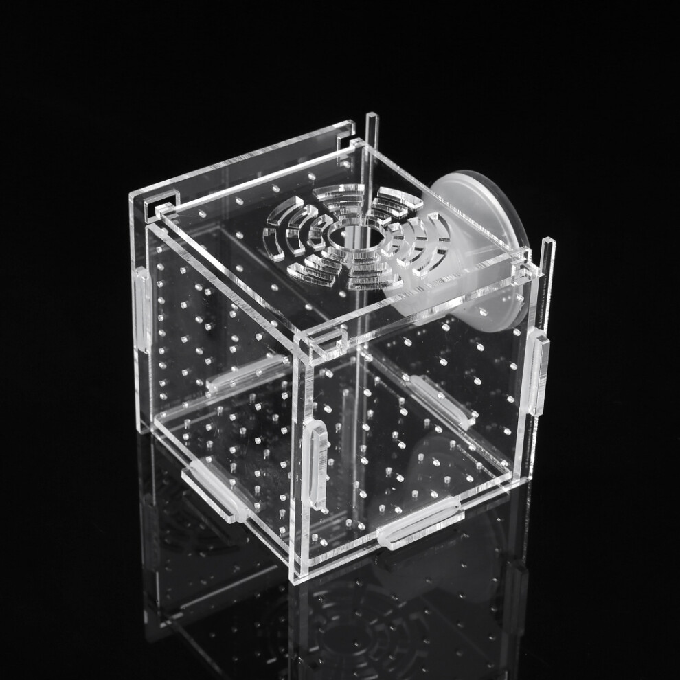 Fish Breeding Box Aquarium Small Incubator With Suction- M White
