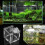 Fish Breeding Box Aquarium Small Incubator with Suction-White M 6