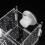 Fish Breeding Box Aquarium Small Incubator with Suction-White M 7