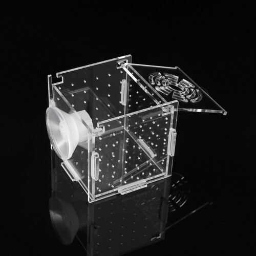 Fish Breeding Box Aquarium Small Incubator with Suction-White M 2
