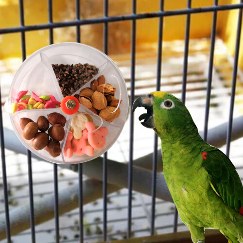 Jouet de recherche de nourriture pour oiseaux, distributeur de 1