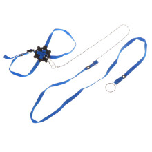 1.2M Adjustable Lizard Leash Pet Traction Strap Reptile-blue