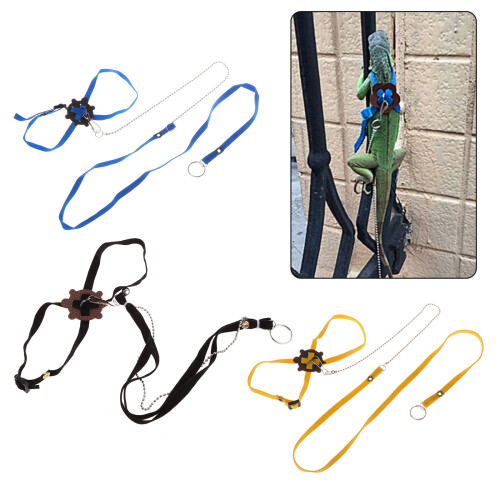 1.2M Adjustable Lizard Leash Pet Traction Strap Reptile-blue 2