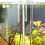 Aquarium Glass Thermometer Easy to Read High Precise-Clear 7