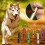 1 Piece Pet Training Whistle Random Colors 2