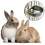 Rabbbit Automatisches Nippeltränke-Set für Chinchilla,-Stil1 3
