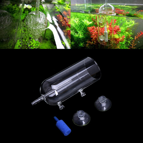 Aquarium für Tank-Luftsprudler, transparenter Glas-Wasserbecher 1