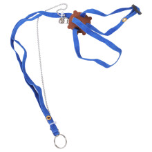 Reptile Training Lead Harness 1.2M Lizard Leash Rope-blue