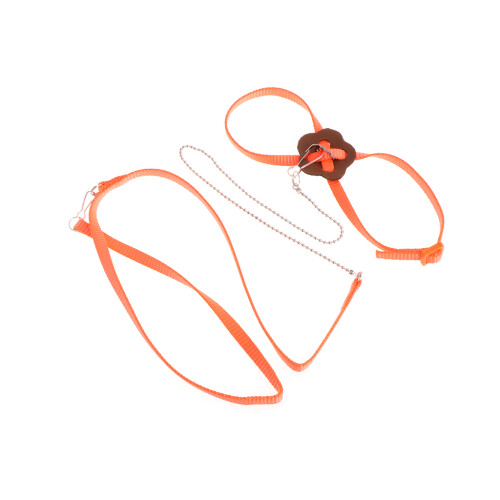 Pet Bird Harness Leash Adjustable Parrot Flying Rope for 2