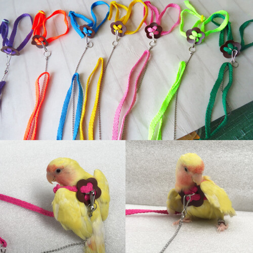 Pet Bird Harness Leash Adjustable Parrot Flying Rope for 1