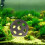 Keramik-Aquarium-Dekoration, Mini-Halbkugel, Höhle, sichere 3