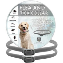 (Grau) BKEPDY 2-Pack Dog Collar, Effective Flea and Tick Prevention, Waterproof Adjustable Flea Collar for Dogs All Sizes and Breeds (Gray)