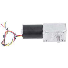 DC bürstenloser Schneckengetriebemotor 260 U/min, 24 V, leise, 58x40 mm