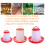 Automatic Chicken Feeder for Poultry Birds Hanging Chicken-3KG 4