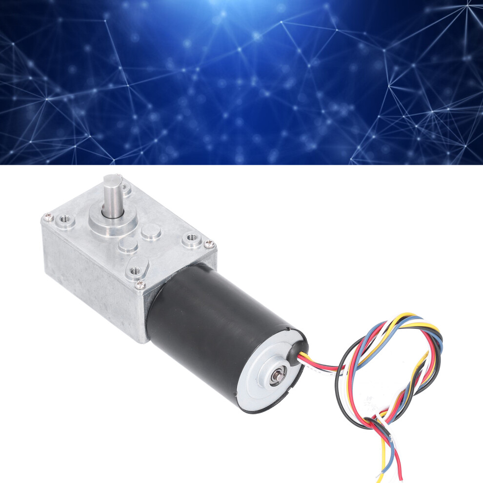 High Torsion Dc Brushless Worm Gear Motor 16Rpm, 24V Industrial 8331376936320