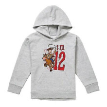 (5-6 Years,Athletic Heather)Toy Story Childrens/Kids I'm 12 Woody Heather Birthday Pullover Hoodie