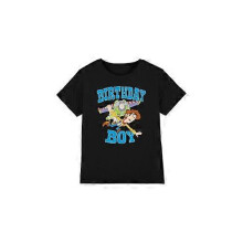 (7-8 Years,Black)Toy Story Childrens/Kids Birthday Boy Woody & Buzz Lightyear T-Shirt