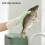 (S Code, Pink) Multi Purpose Waterproof Gloves Waterproof Sturdy Household Cleaning Gloves for Laundry Room 3