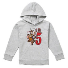 (12-13 Years,Athletic Heather)Toy Story Childrens/Kids I'm 5 Woody Heather Birthday Pullover Hoodie