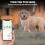 Locator Protective Holder Pet Collar for Locator-L Sky Blue 3