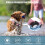 Locator Protective Holder Pet Collar for Locator-L Sky Blue 4