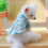 Petits chiens T-Shirt chiots chemise décontractée à deux-M 6
