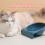 Cat Food Bowls 15Tilted Elevated- Cat Bowl for Small-Dark blue 7