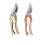 (Rose gold) Steel Blade Secateurs 1