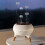 (C, 1) Essential-Oil Diffuser with 7 Colors LED Light Timing Function for Home 3