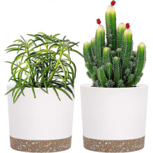 Set of 2 Plant Pots 12cm, Indoor Plant Pots with Drainage Holes and Removable Base, Modern Decorative Saucer for Outdoor Planters (White 12cm)
