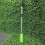 Zip Trim Cordless Trimmer Edger Works Portable Extendable Trimmer with Protective Shield Garden Weeder 3