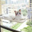 Cats Window Perch Pet Cats Hammock Bed-rabbit hair 62x30 5