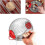 (S - 24cm) Nut Gatherer Acorn Picker Upper - Side Opening Dump Walnut Picker Upper Roller Pinecone Picker 3