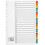 A4 File Dividers 1-20 Mylar Index Multicoloured 2