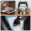 50 x Puppy Training Pads 60 x 60cm 8