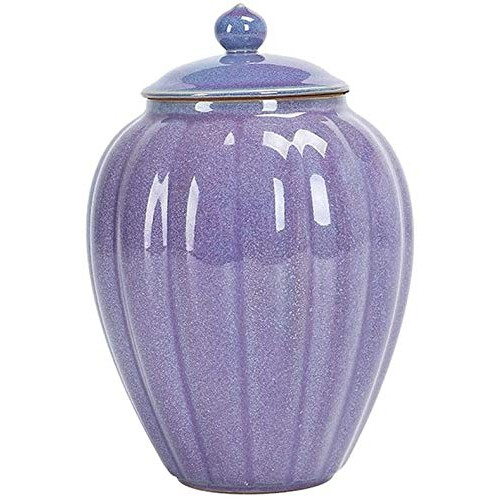 Urns Ceramic Cremation Urn Keepsake  Classic Ceramic Urn For Ashes, Human Or Pet, Store Ashes
