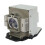 Lamp For MX761 Projector Replacement Lamp 5J.J3J05.001 Compatible 1