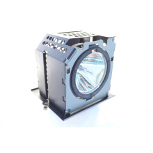 Lamp For MS500+ Projector Replacement 5J.J5205.001 Compatible